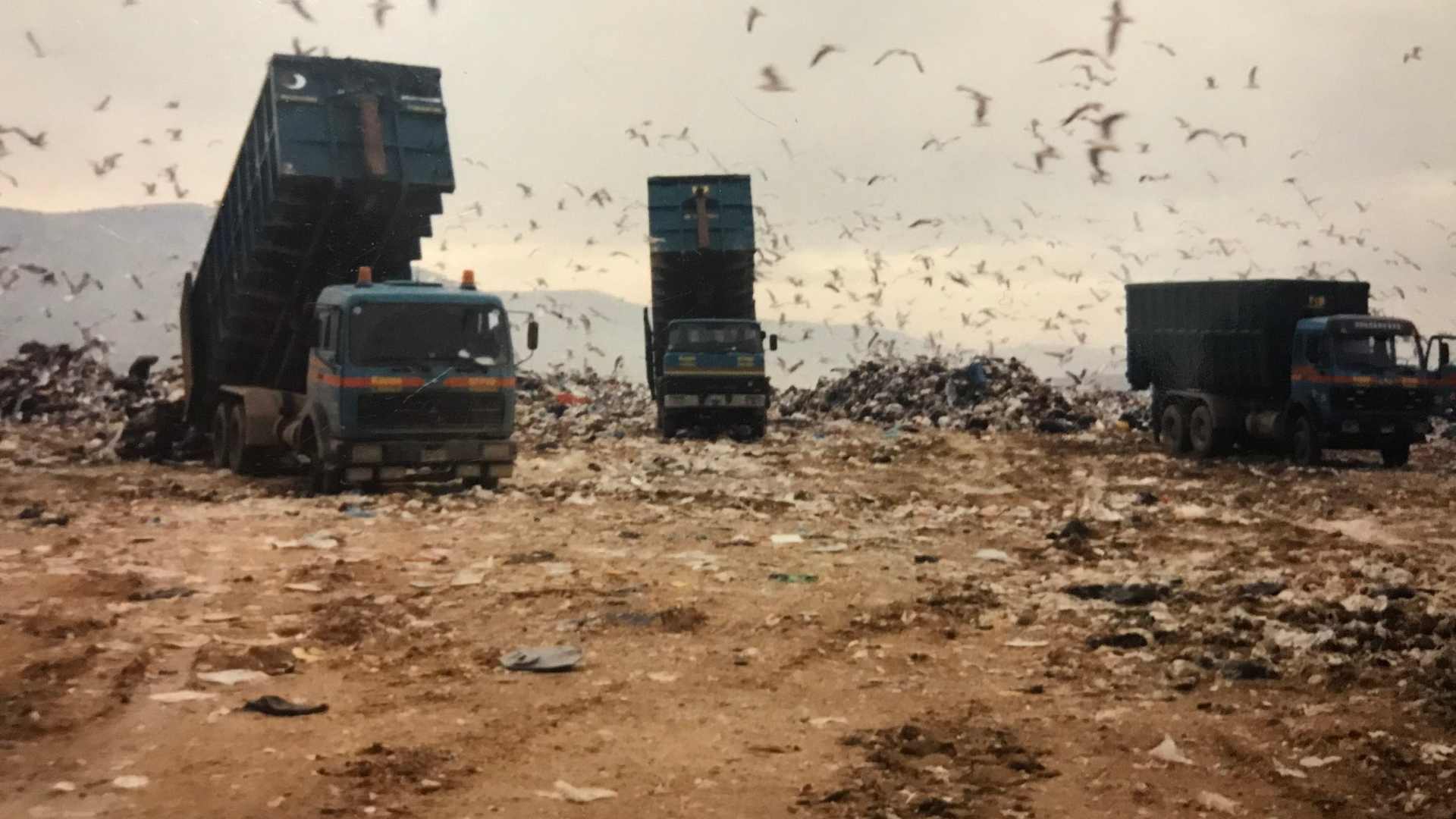 Trucks dump trash at a landfill while birds fly around.