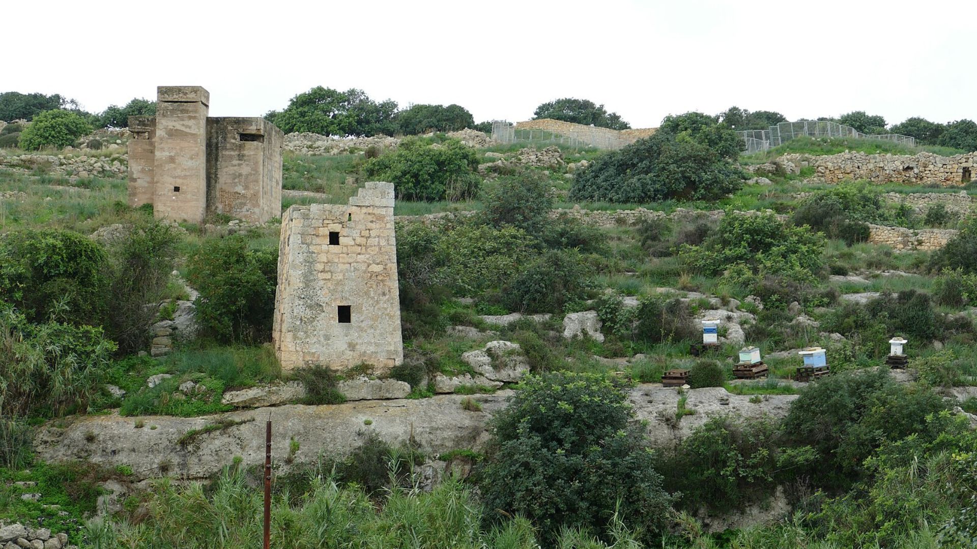 A landscape image showing a rural area in Malta with historical structures. Two ancient watchtowers made of limestone, with square bases and remnants of window openings, stand amidst a green countryside