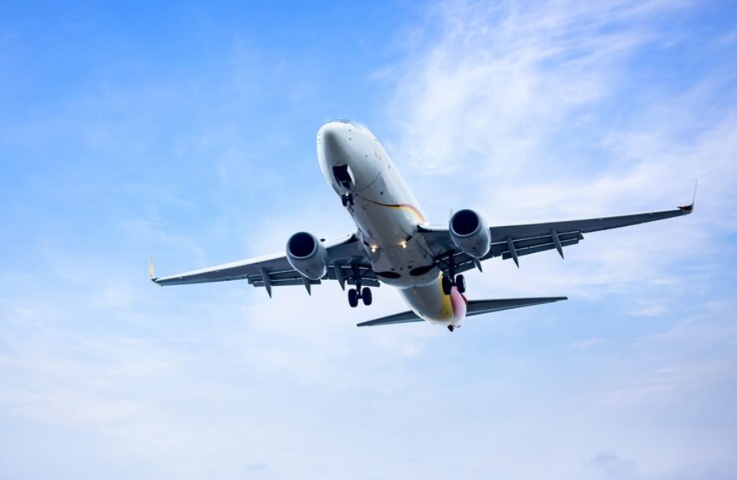 An image of a commercial jet plane preparing to land