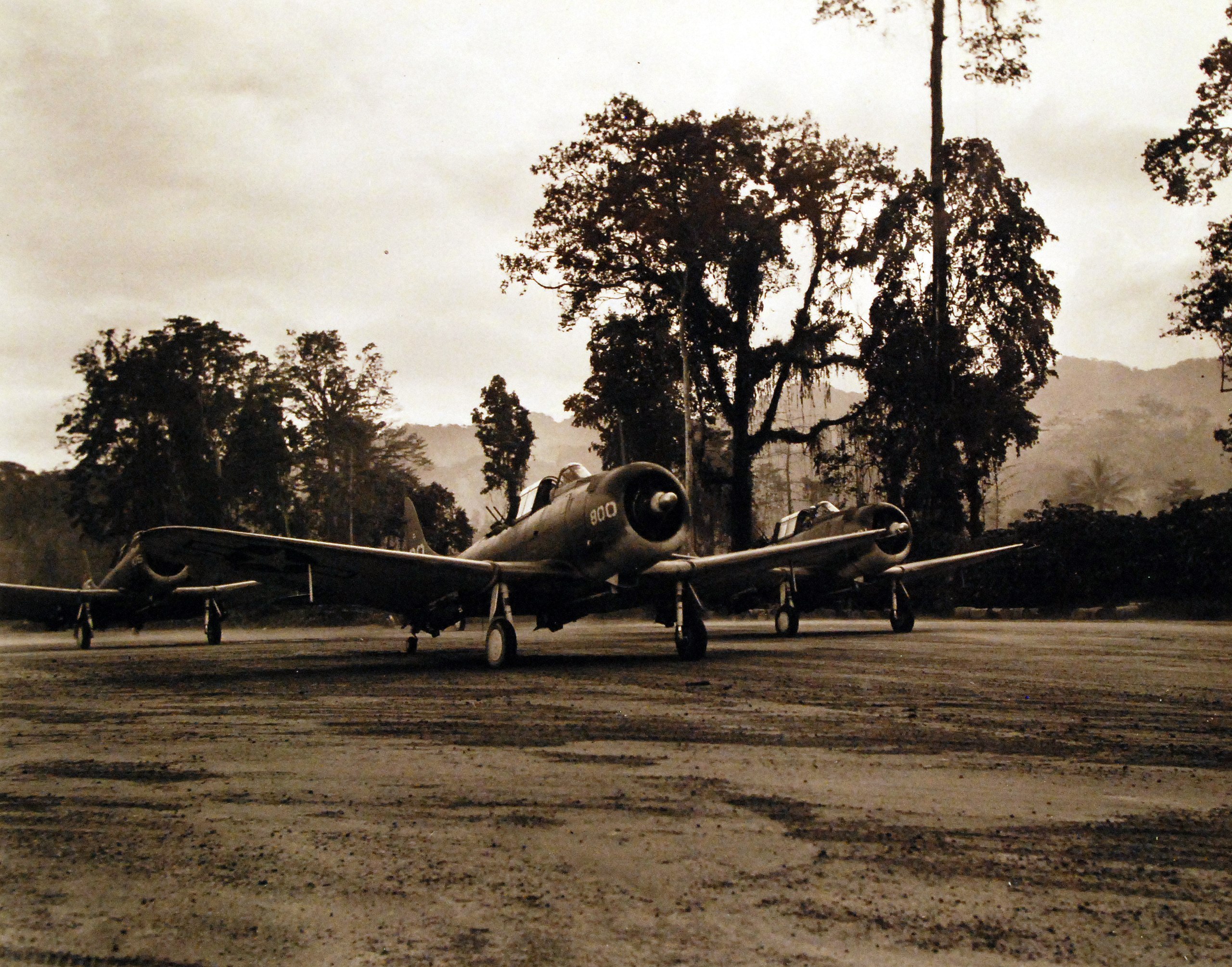 Planes that are part of the Marine Scout Bombing Squadron 236.