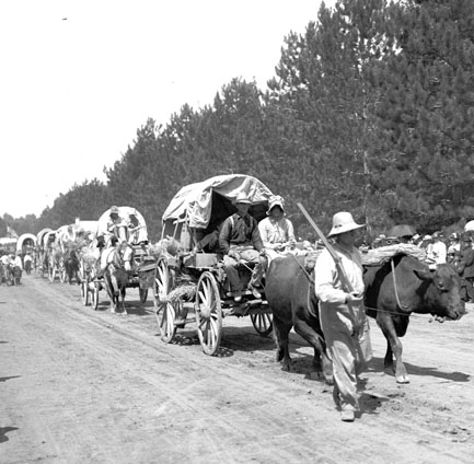 WagonTrn