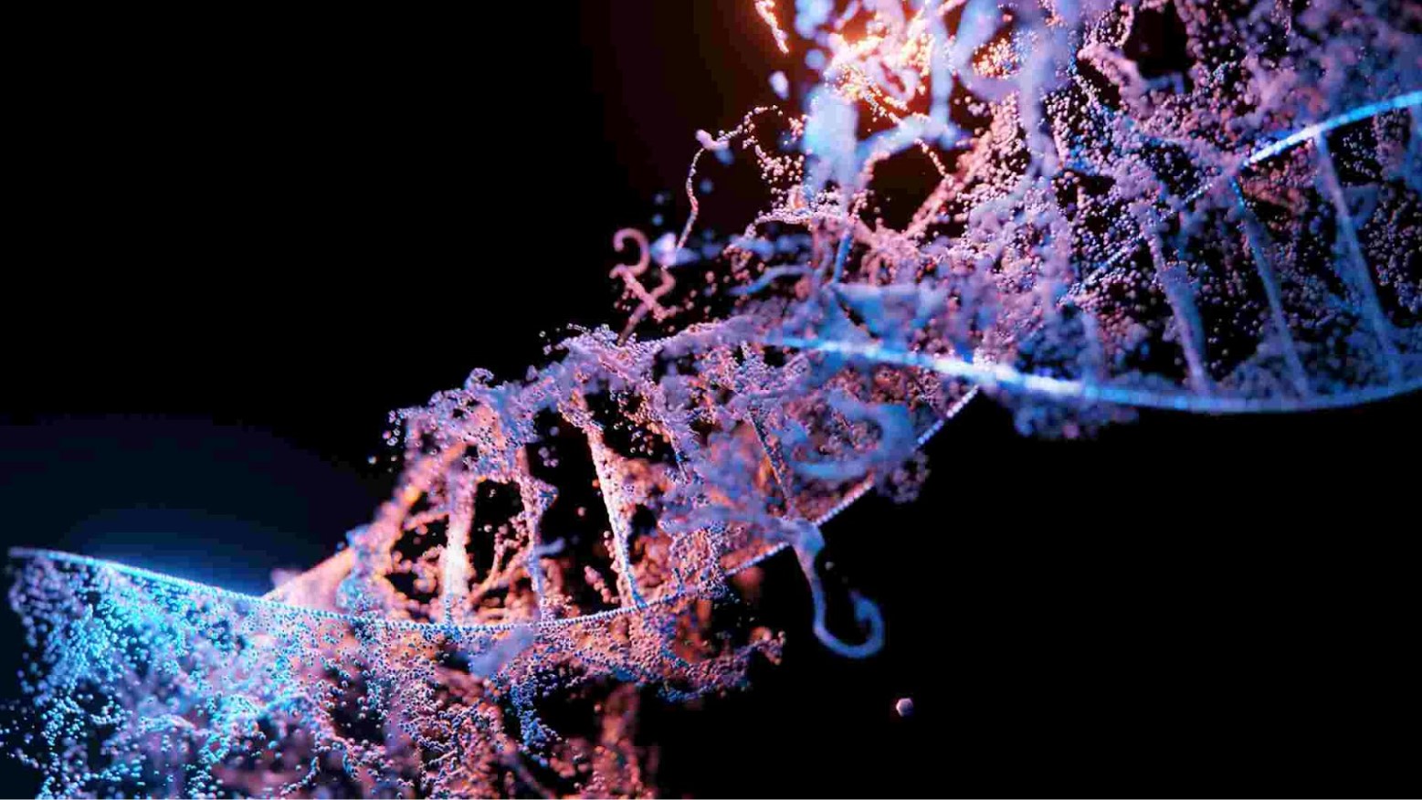 An artist's interpretation of how DNA strands intertwined.