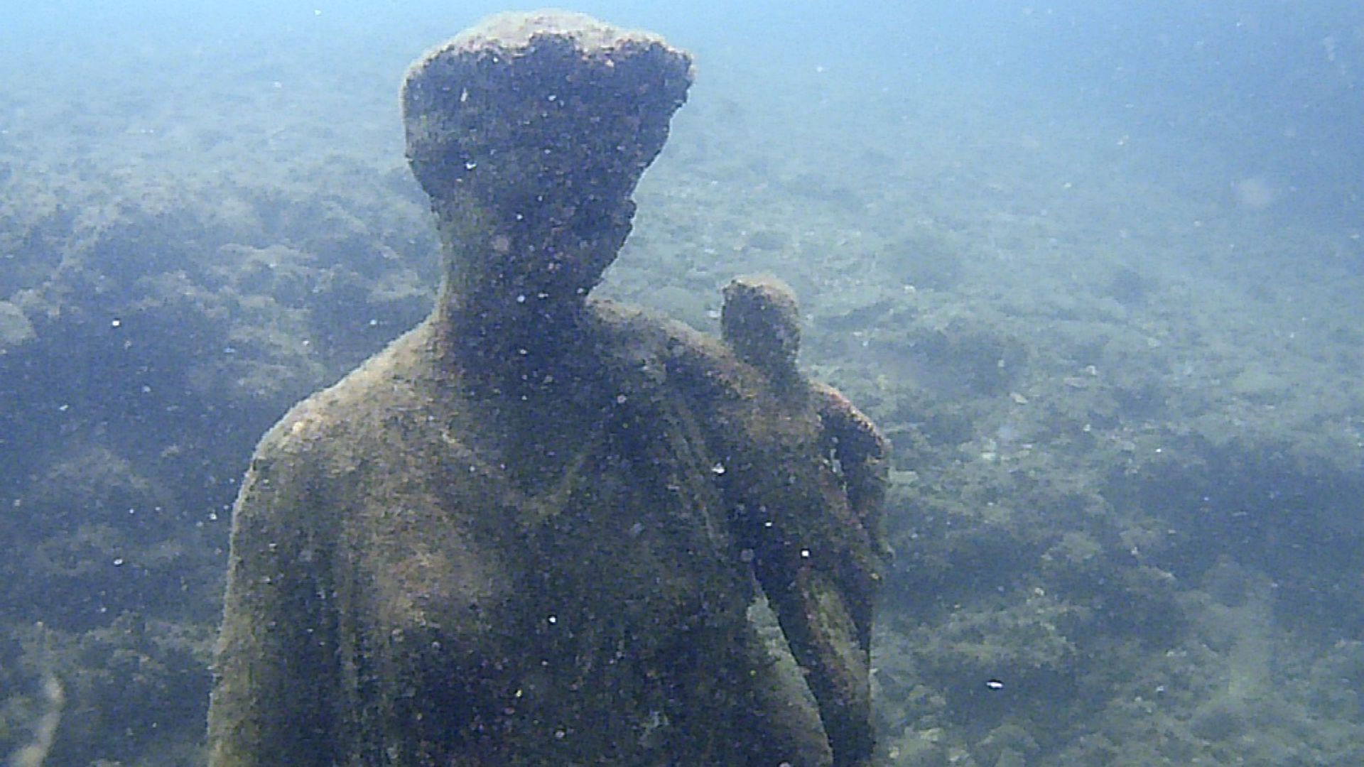 An image of a submerged statue, appearing to be covered in marine growth, located underwater. The statue, which seems to represent a human figure, is shown with a blurry background due to the water's murkiness