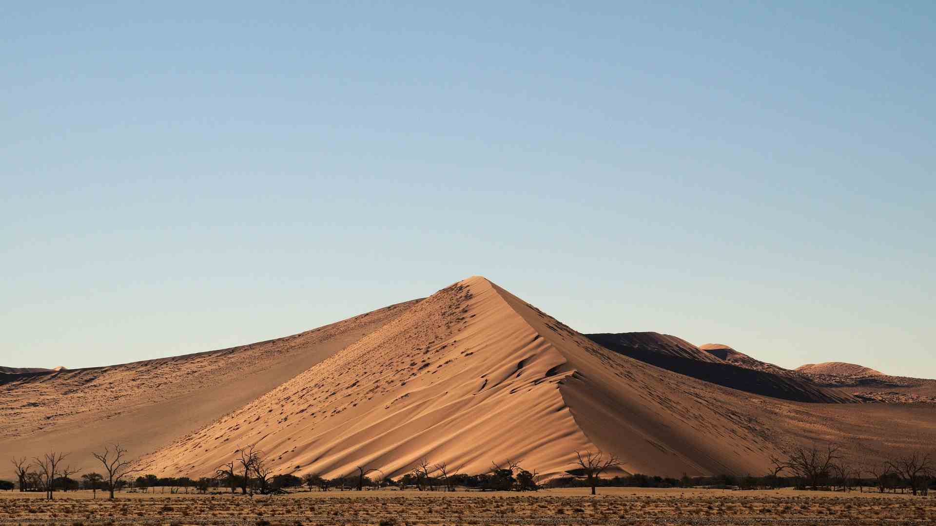 A sand dune in Namib-Naukluft park.