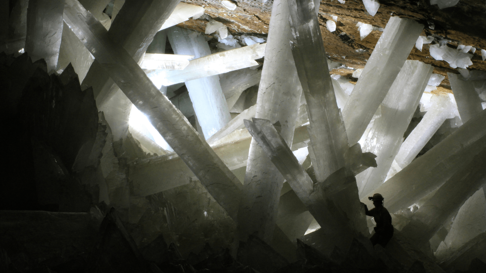 A scientist in the lower right corner of the image explores the massive gypsum crystals inside of Giant Crystal Cave.