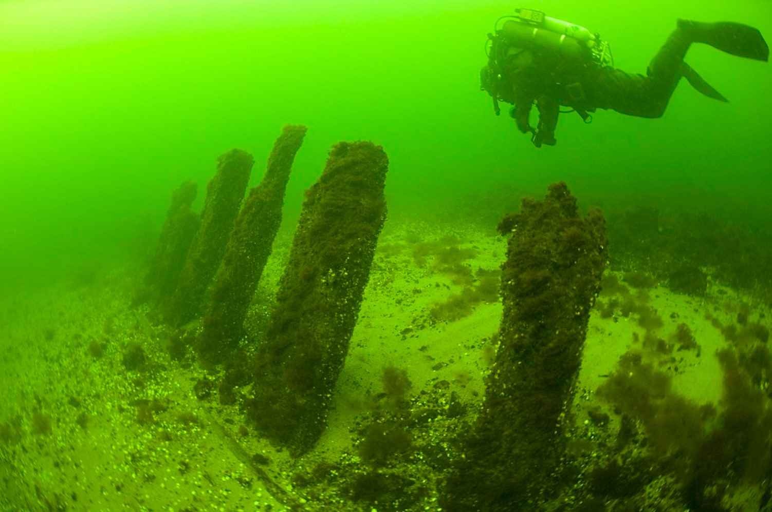 An underwater diver is pictured exploring a site under the shores of the ocean