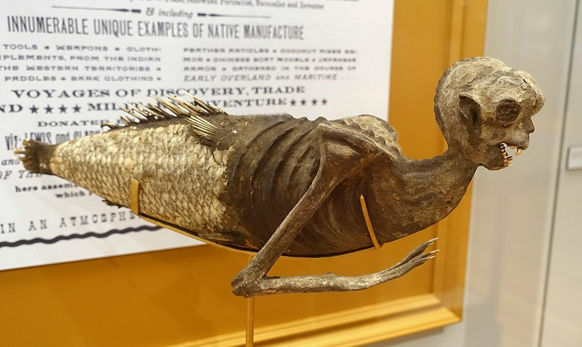 Fejee Mermaid at the Harvard University's Peabody Museum of Archaeology and Ethnology