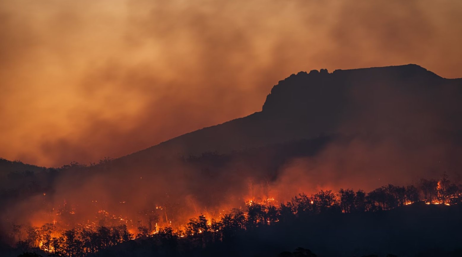 An image of a forest fire. The area is covered in smoke and the hill in the background and trees are black. The trees are on fire.