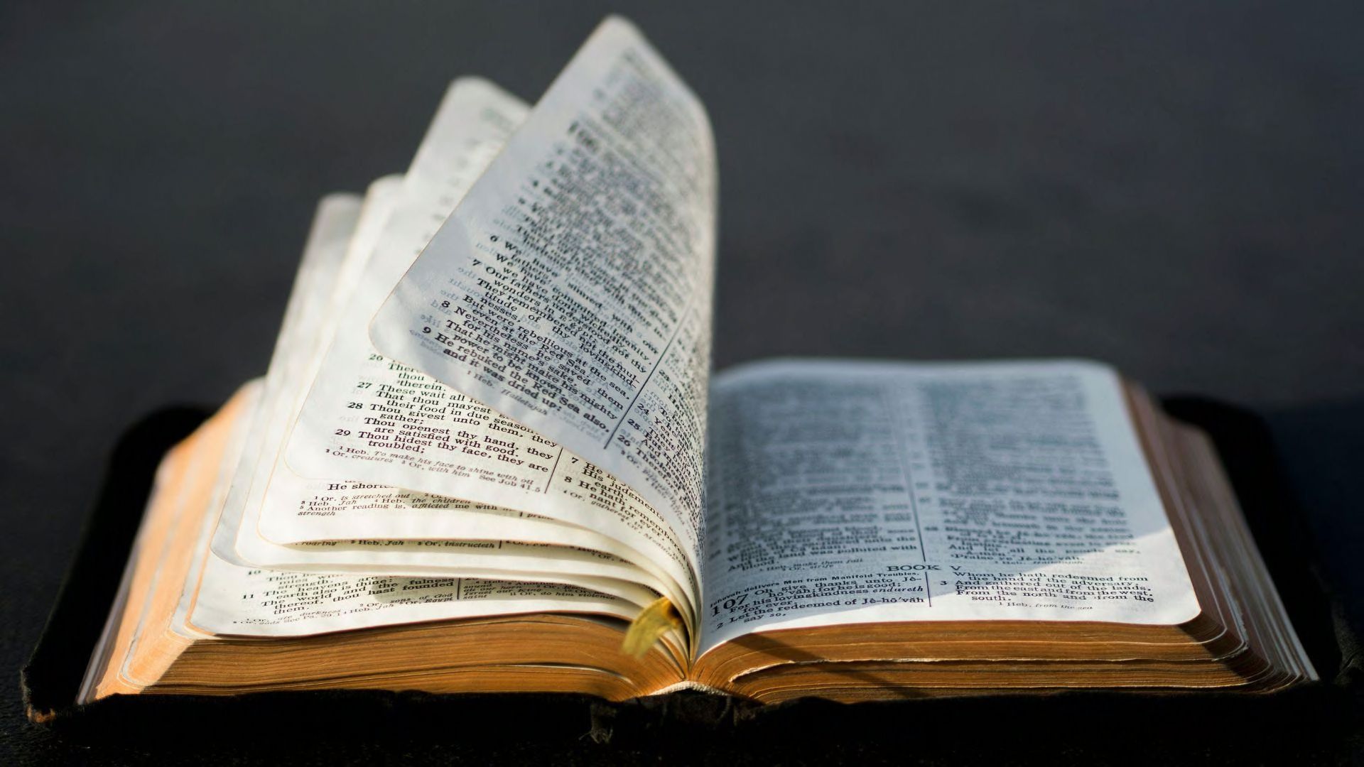 An open Bible with some of its pages blowing in the wind.