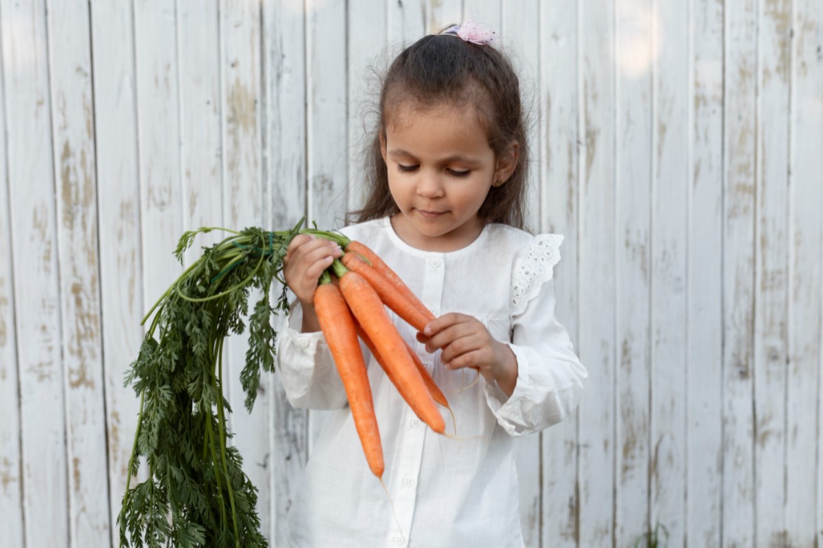 An image of a young child holding several carrots