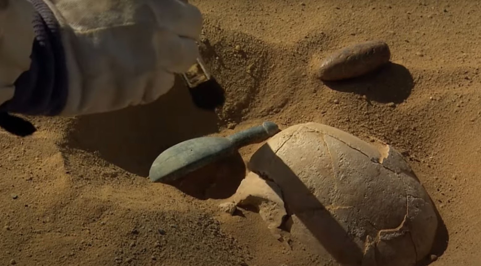Archaeologists discovered the skull of the medieval vampire. The skull is covered in sand and the archaeologist is using a brush to move the sand.