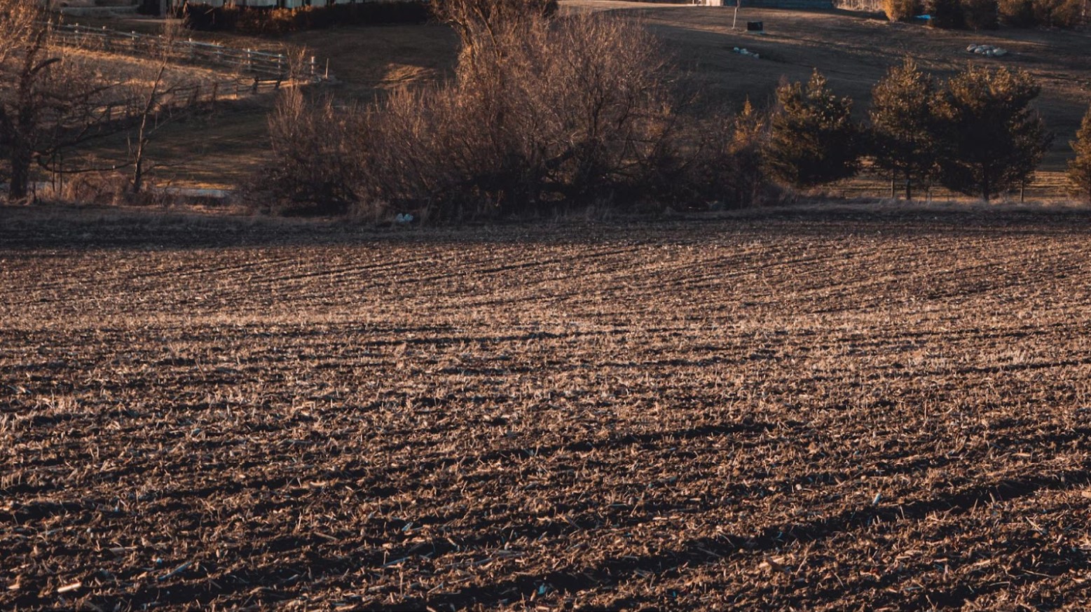 A brown field where crops should have grown but haven’t. There are some trees in the background that have brown leaves on them.