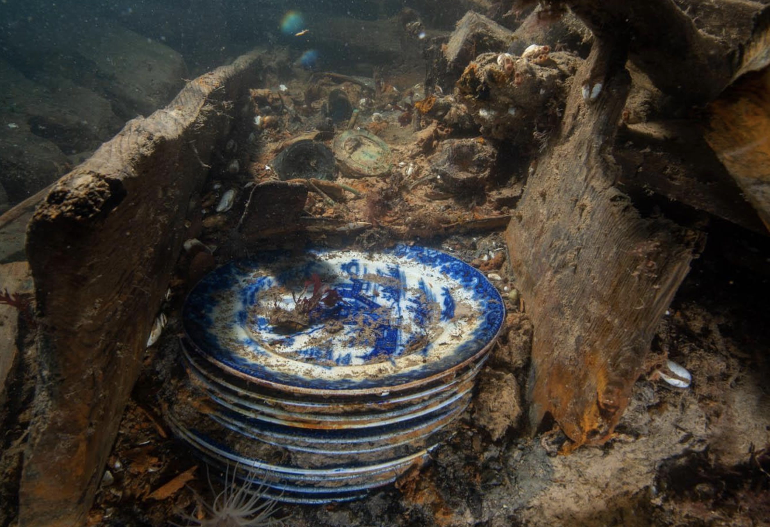 Underwater photograph of plates on ship's wreckage