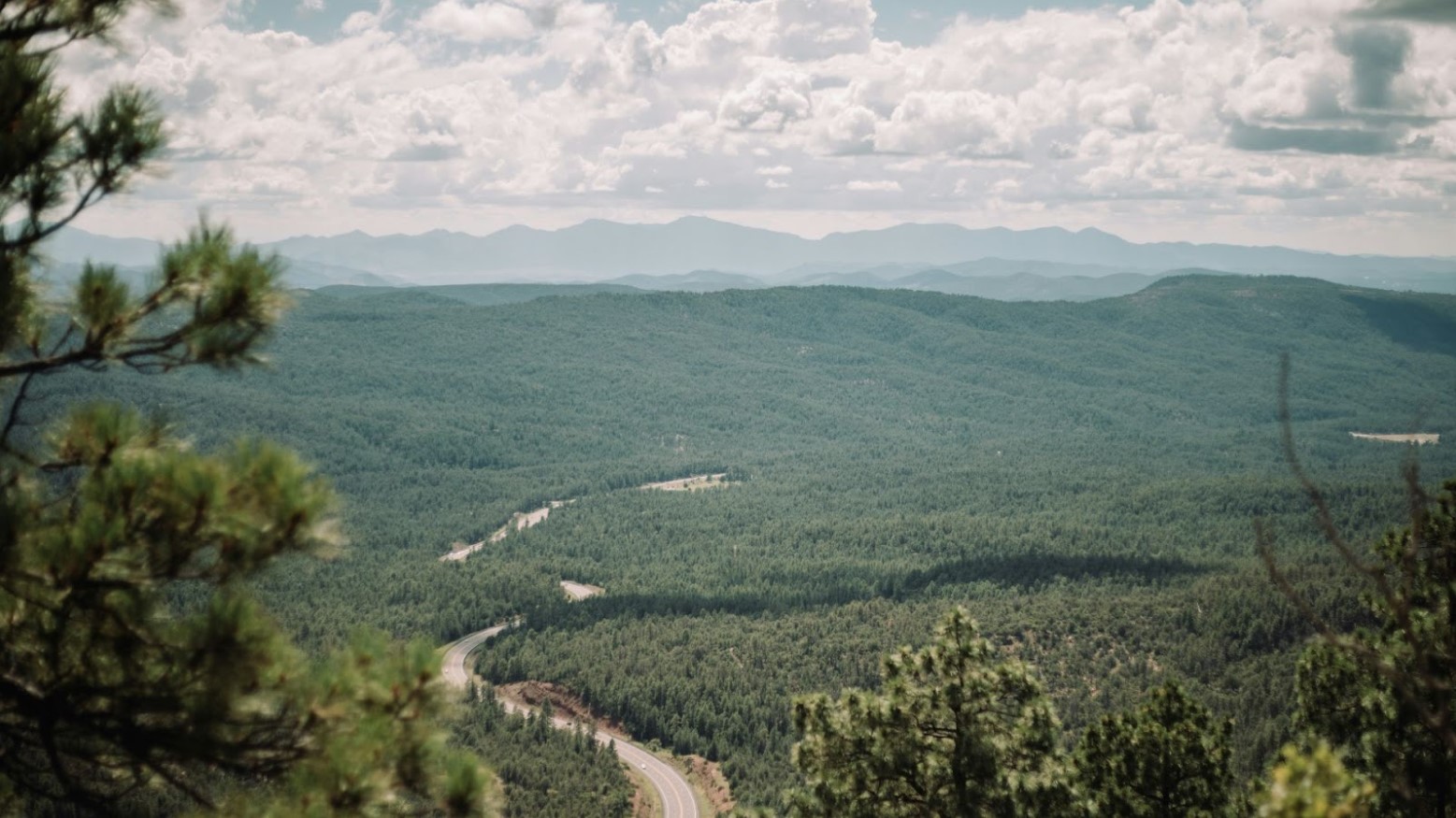 An aerial view of a road winding through many green trees, with mountains in the distance, in Arizona.