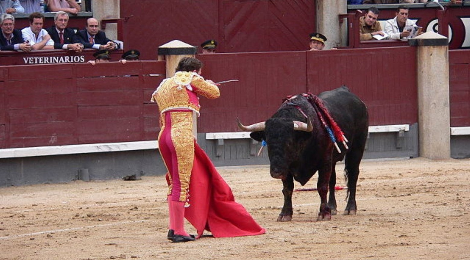 A Spanish bull-fight. There is a black bull standing on the sand and a matador in a traditional red and gold outfit holding a red cape standing in front of the bull. A crowd is watching on in the stands.
