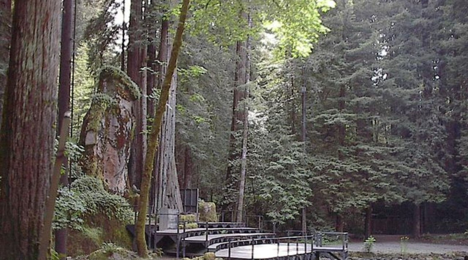 Part of Bohemian Grove. There is a stage with steps surrounded by woodland.