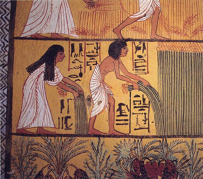 Ancient Egyptians depicted in a drawing harvesting plants