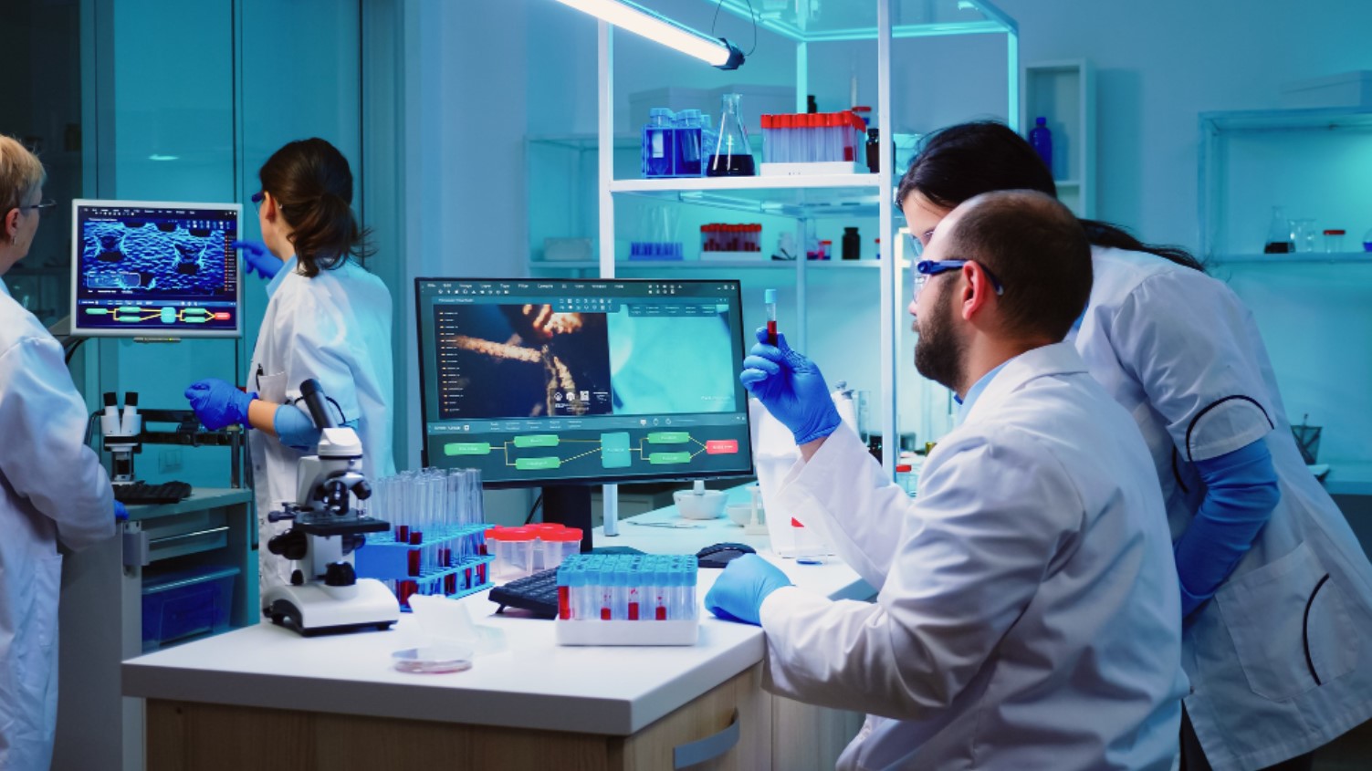 Scientists are pictured looking at test samples in the lab